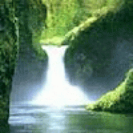 Kennethinsuh